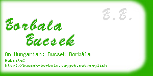 borbala bucsek business card
